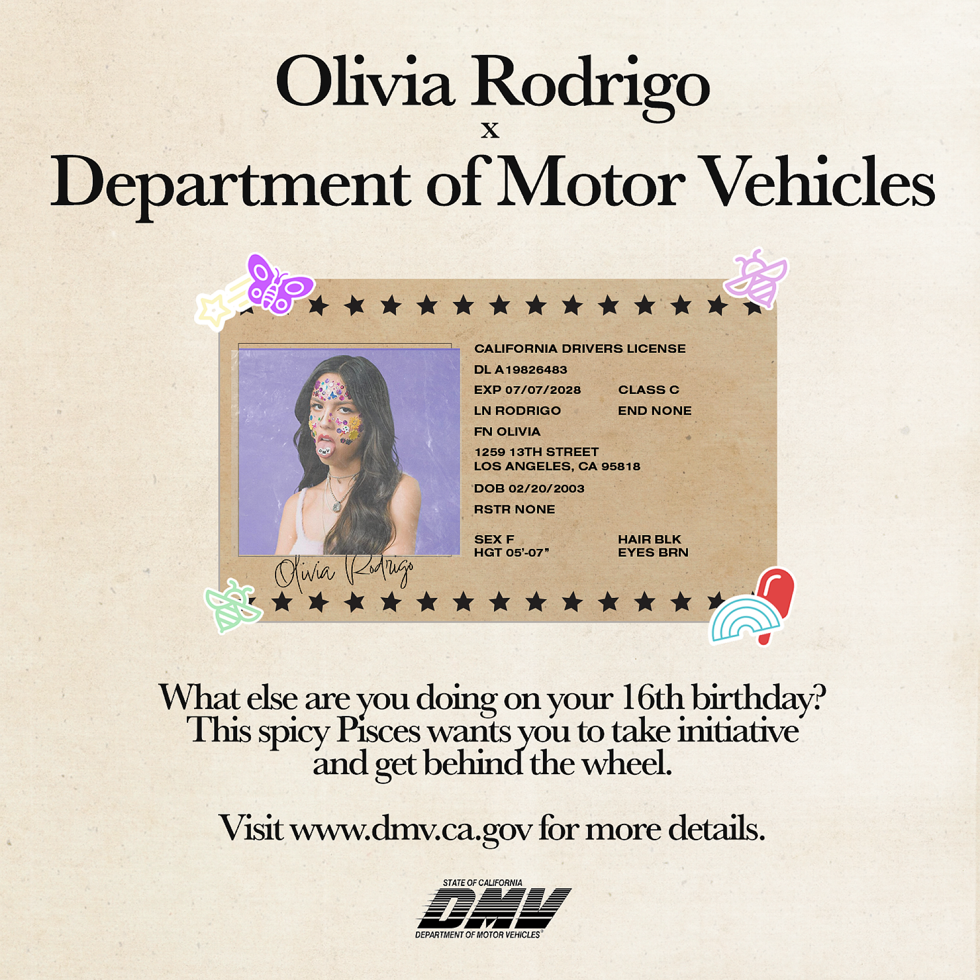 Olivia DMV