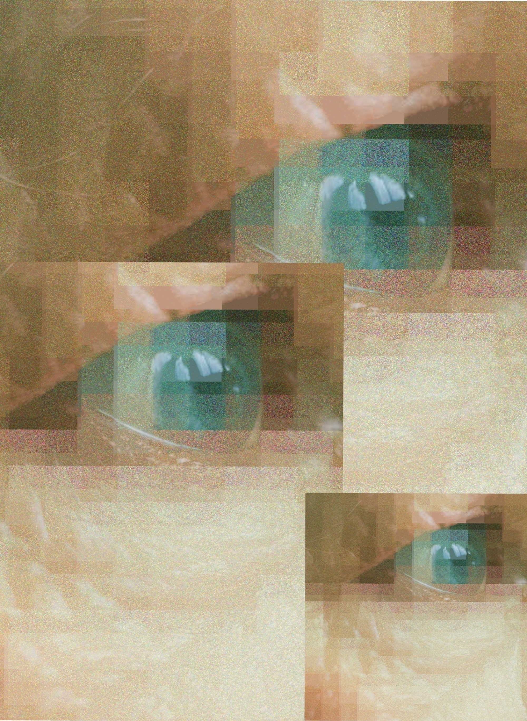 03 CH1 DATADISSONANCE IMG